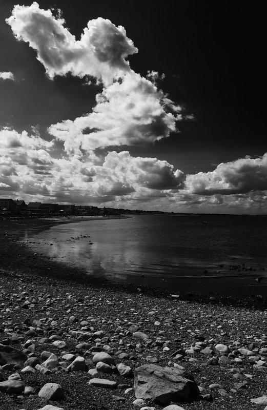 DSC_8774-Edit1.jpg