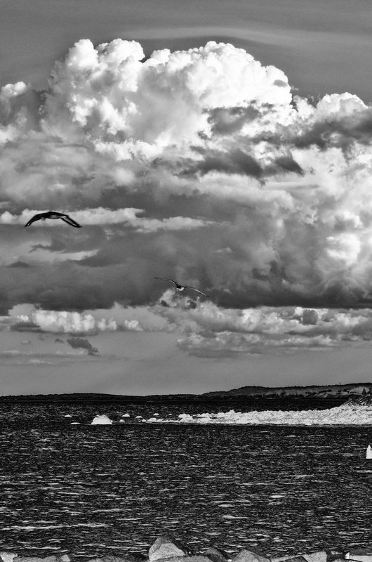 DSC_8778-Edit.jpg