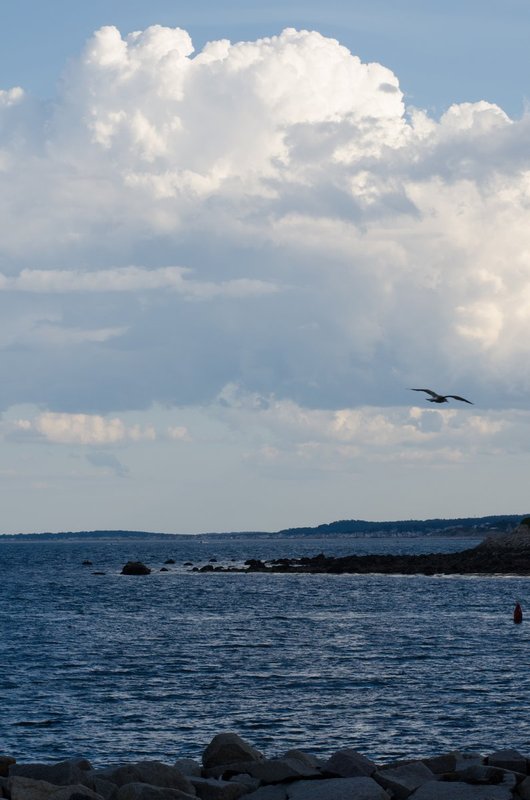 DSC_8780.jpg