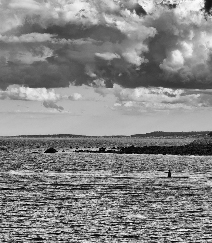 DSC_8794-Edit.jpg