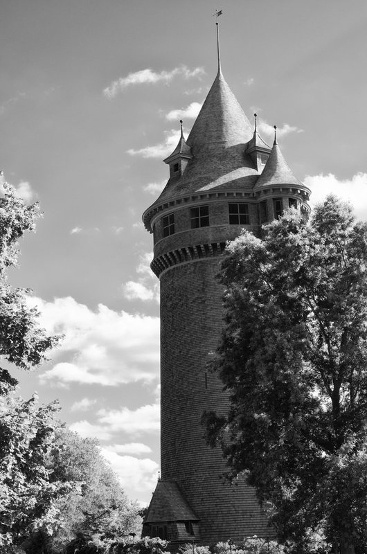 DSC_8844-Edit1.jpg