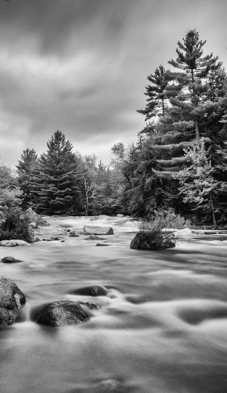 DSC_9071-Edit.jpg