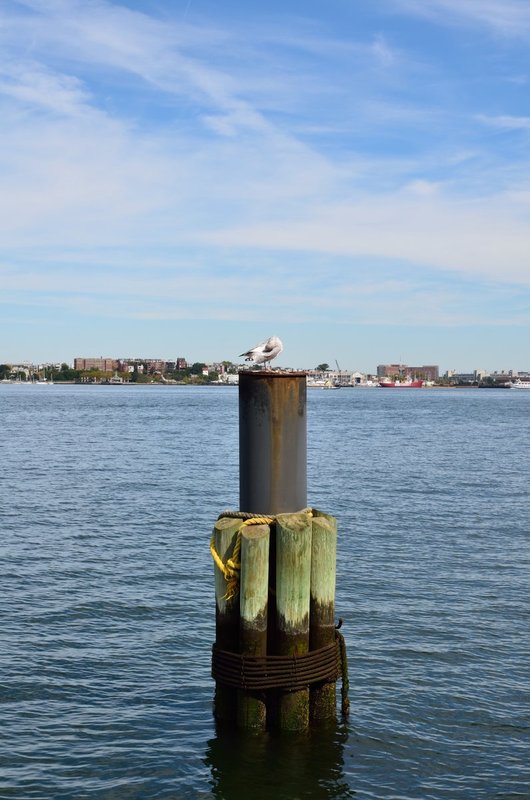 DSC_9925.jpg
