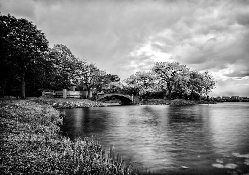 DSC_0629-Edit.jpg