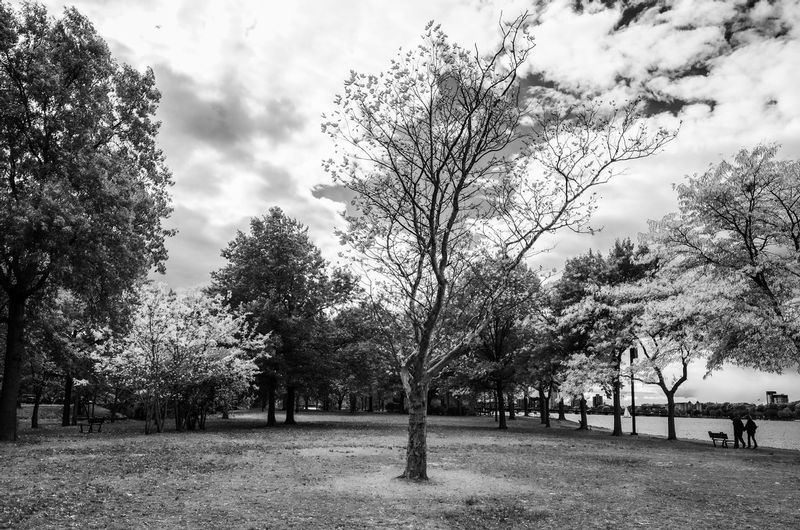 DSC_0669-Edit.jpg