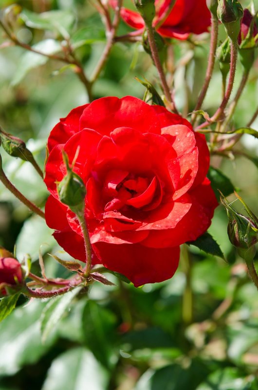 DSC_1464.jpg