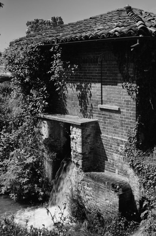 DSC_1496-Edit.jpg