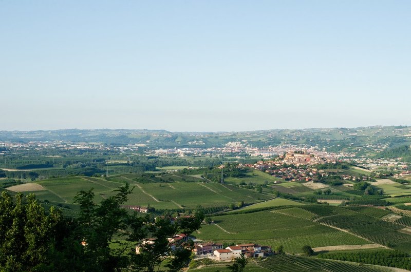 DSC_1721.jpg