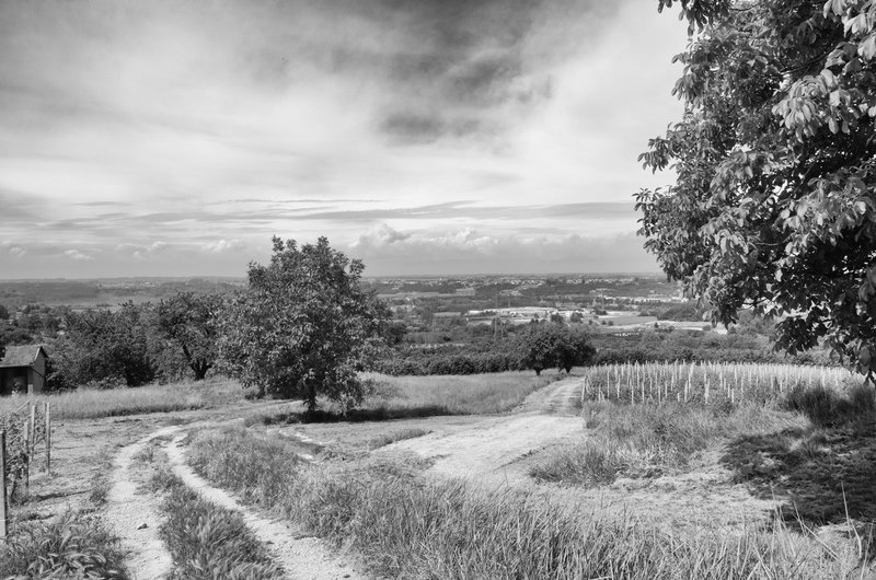DSC_1862-Edit.jpg