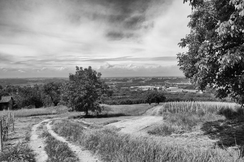 DSC_1862-Edit1.jpg
