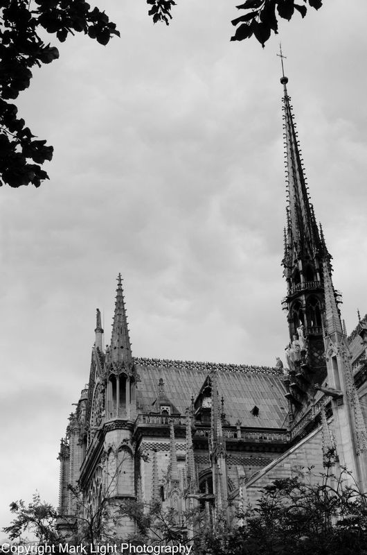 DSC_2090-Edit-Edit1.jpg