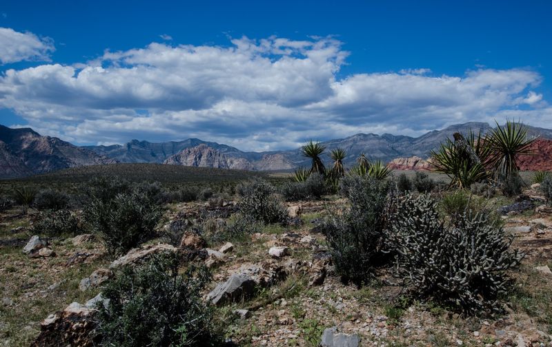 DSC_4205.jpg