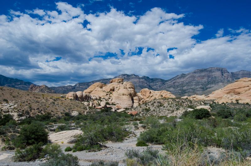DSC_4269.jpg