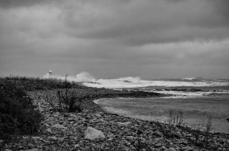 DSC_6491-Edit-2.jpg