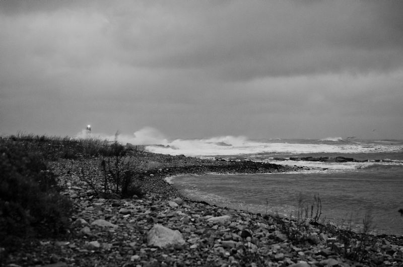DSC_6491-Edit.jpg