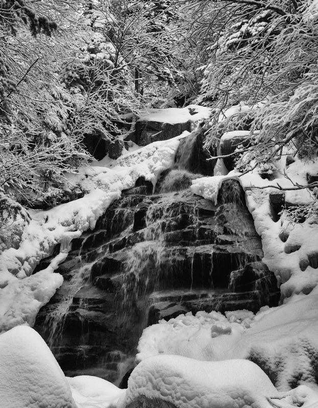 DSC_6863-Edit.jpg