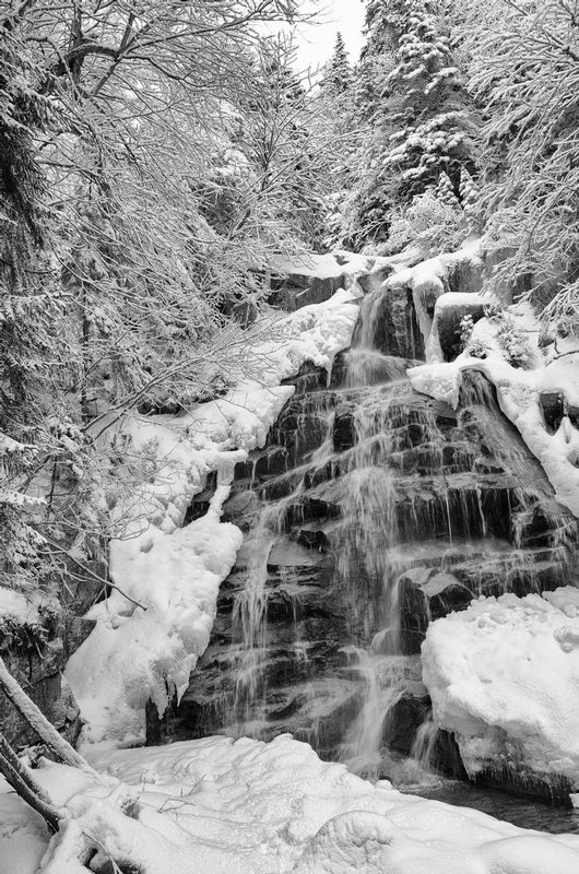 DSC_6912-Edit.jpg