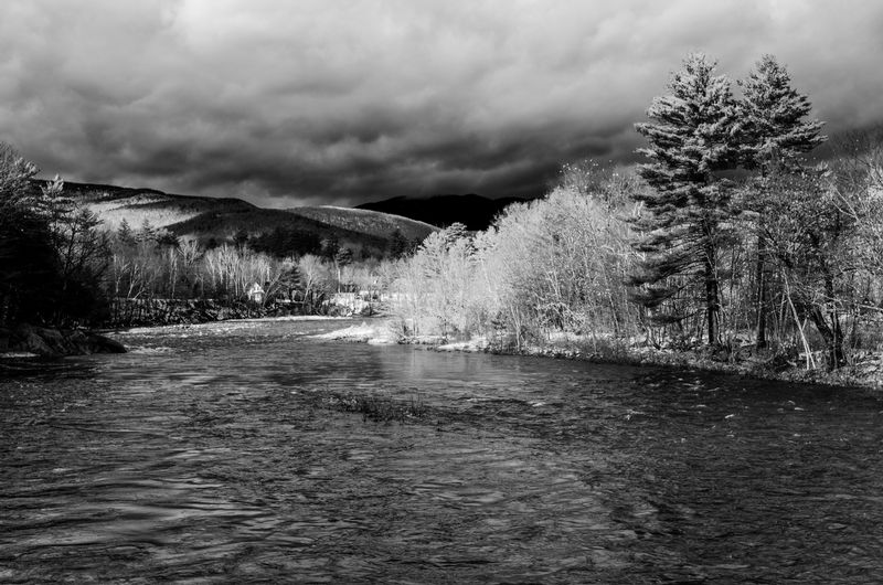 DSC_6929-Edit.jpg