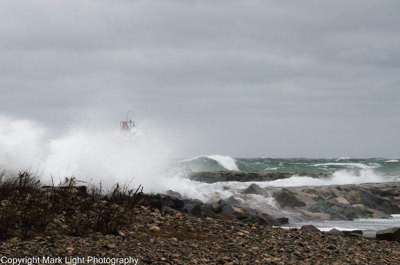 DSC_1386.jpg