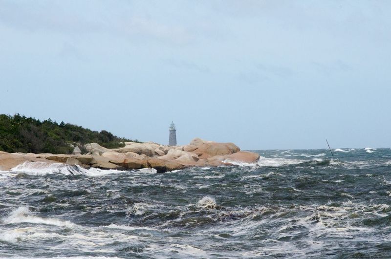 DSC_3051.jpg
