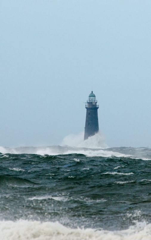 DSC_3130.jpg
