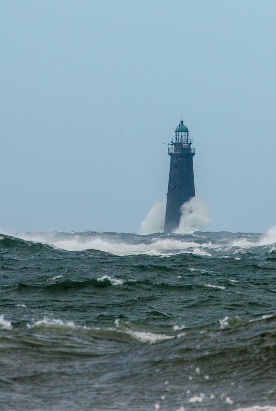 DSC_3135.jpg