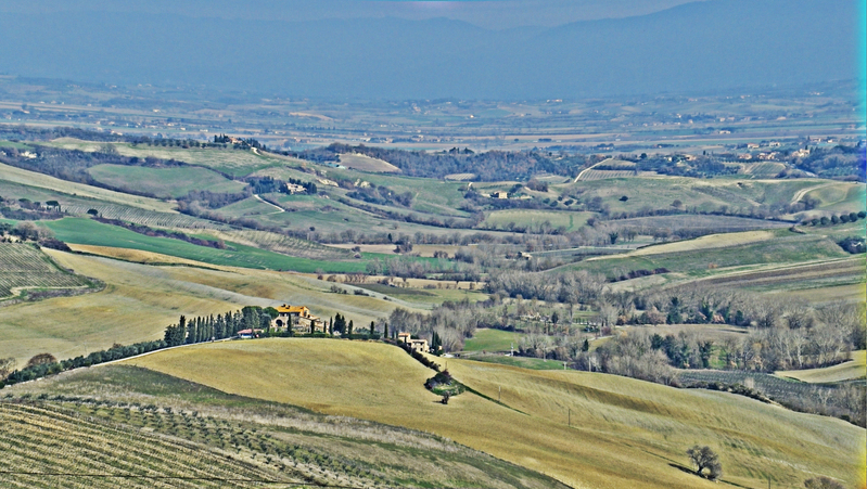 _2210392 copy.jpg