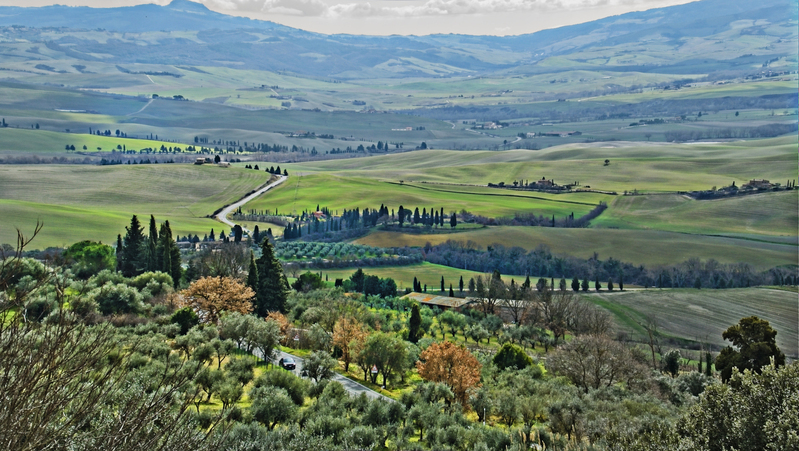 _2210413 copy.jpg