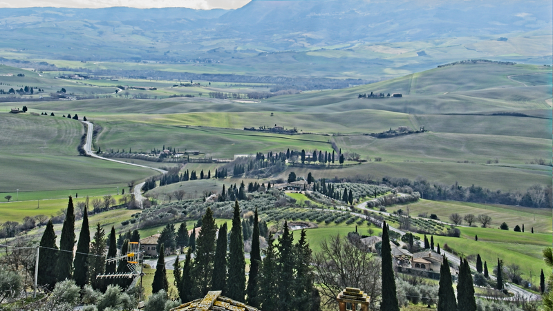 _2210463 copy.jpg