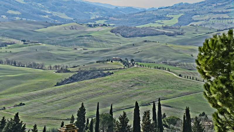 _2210468 copy.jpg