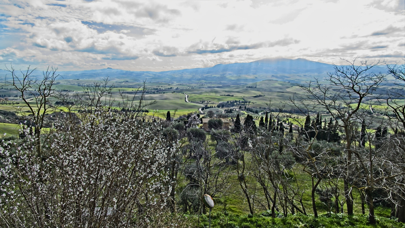 _2210478 copy.jpg