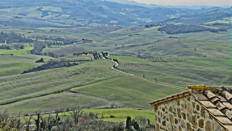 _2210501 copy.jpg