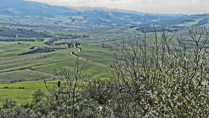 _2210518 copy.jpg