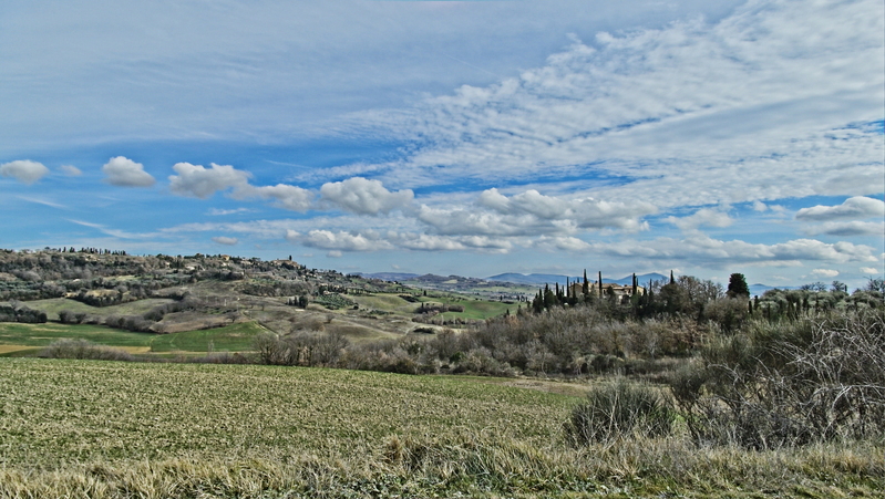 _2210543 copy.jpg