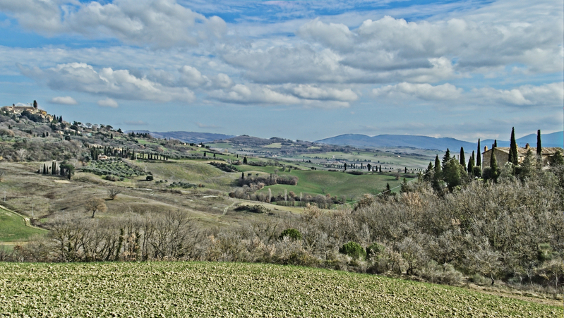 _2210545 copy.jpg