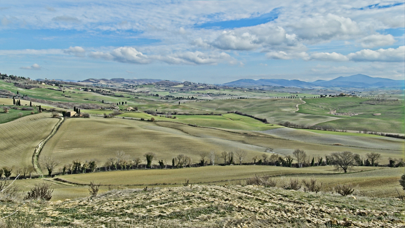 _2210567 copy.jpg