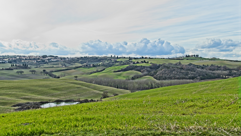 _2210596 copy.jpg