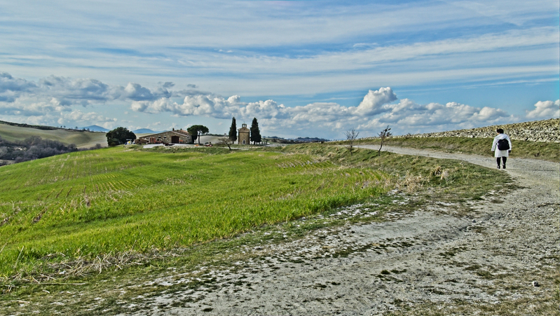 _2210598 copy.jpg