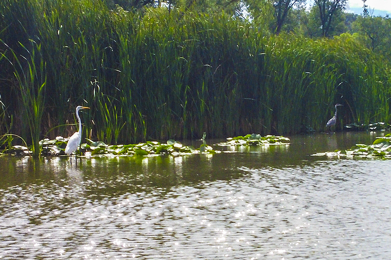 20160828_141742.jpg