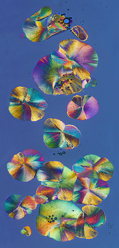 3346-51 24x55.jpg