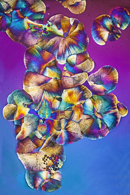 3490a 13x19.jpg