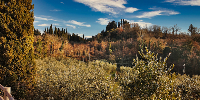 CLT-L0417803.jpg :: cof
