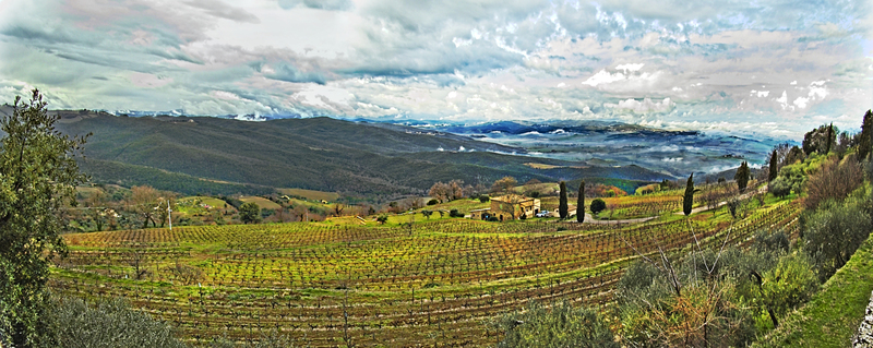 Montalcino pan 3.jpg