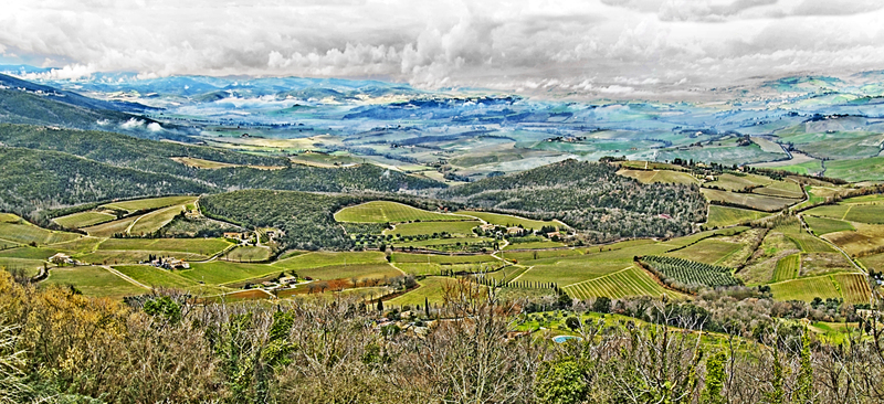 Montalcino pan 4.jpg