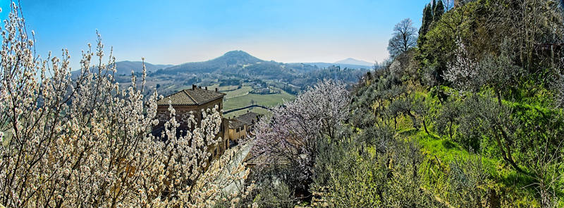 Monte 33.jpg