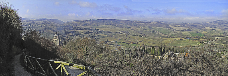 MontiP3446  31x13.jpg