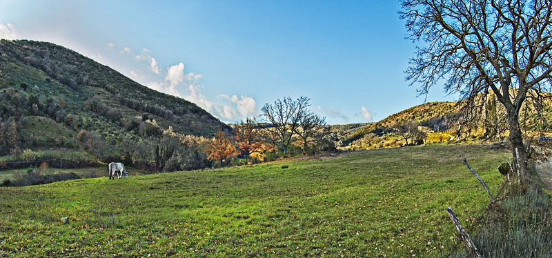 San Ant 4.jpg