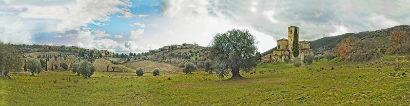 San Antimo field 2.jpg