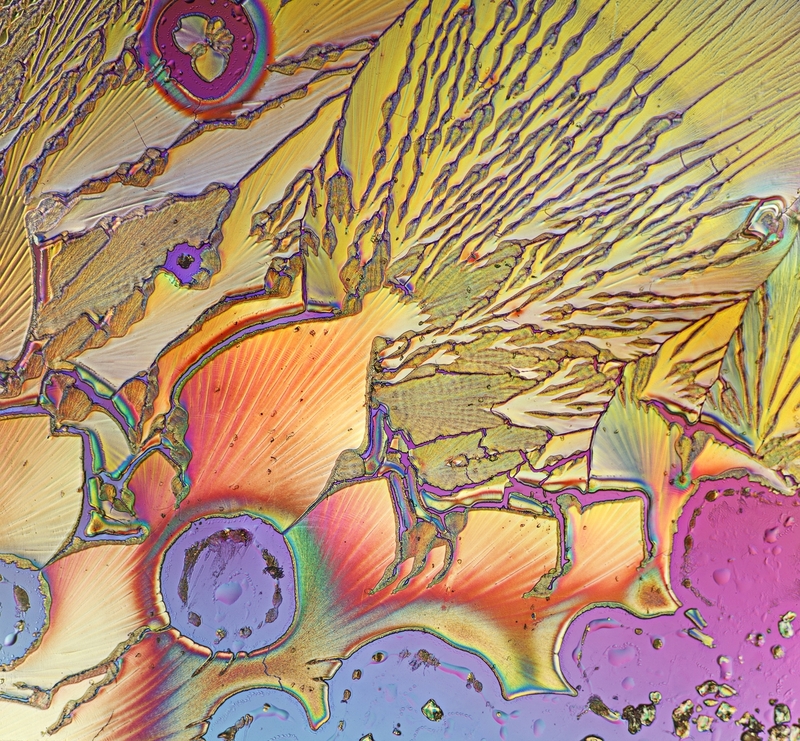 asc 1269-70 18x19.jpg