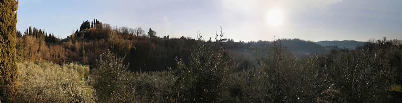 bush pan40x10.jpg :: dav